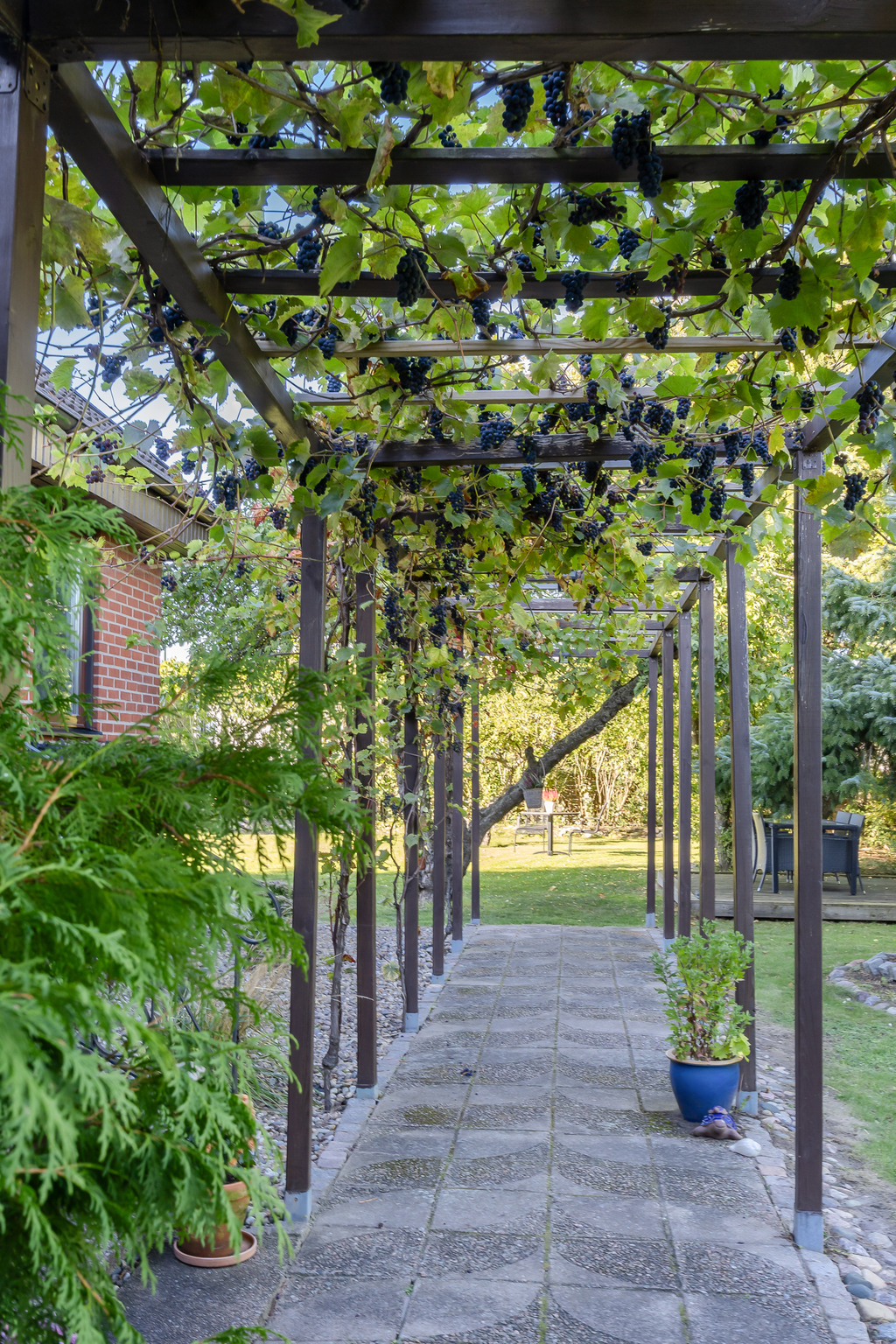 Trädgård