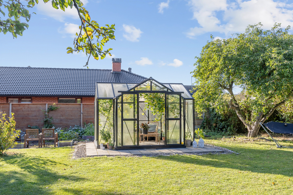 Trädgård