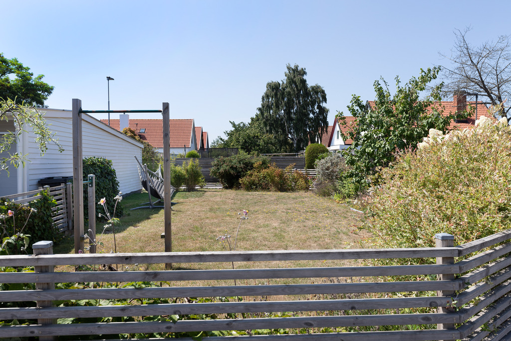 Trädgård