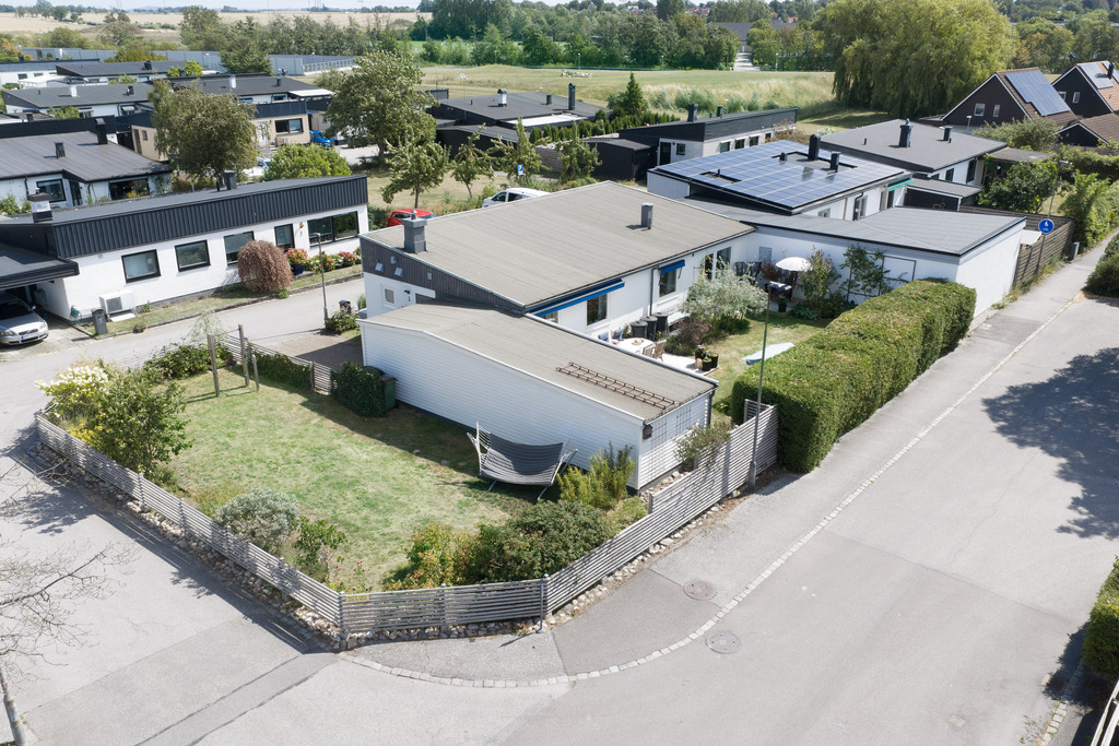 Trädgård