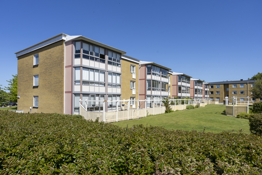 Förening