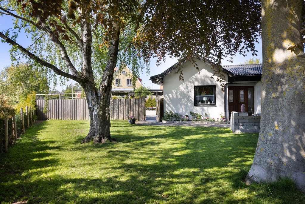 Trädgård