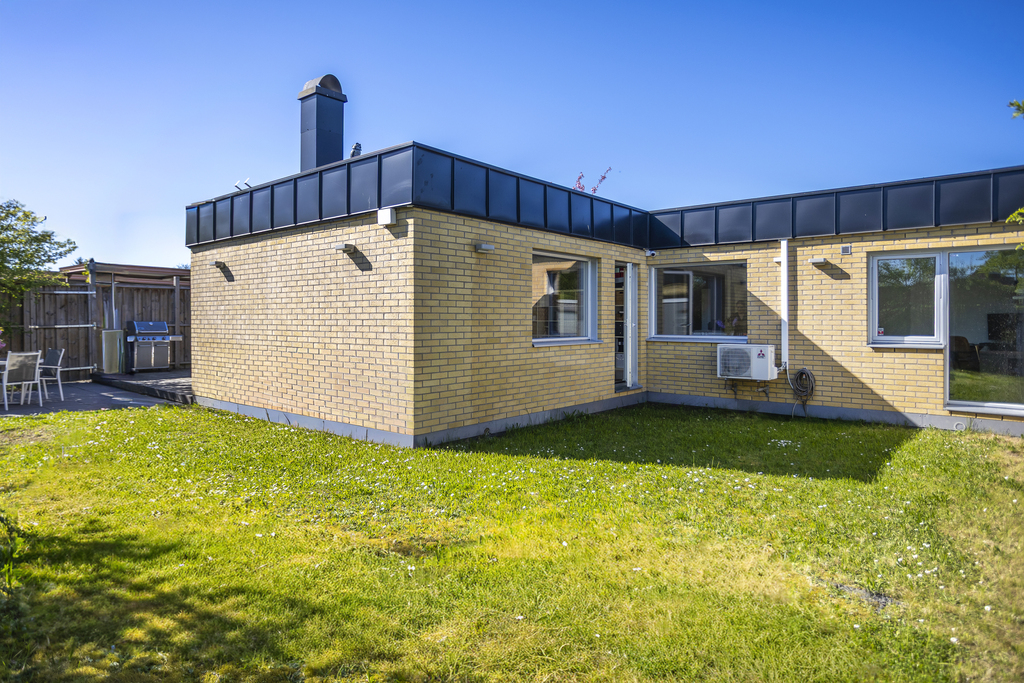 Trädgård