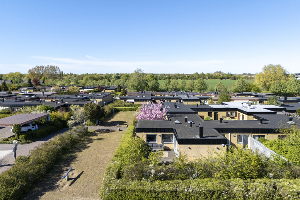 Trädgård