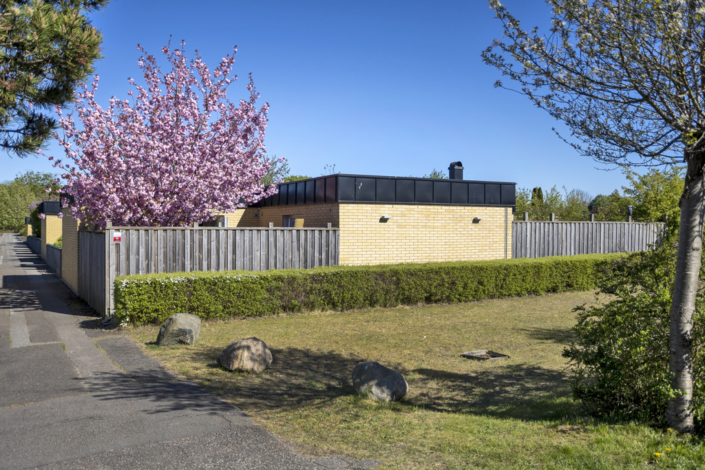 Trädgård