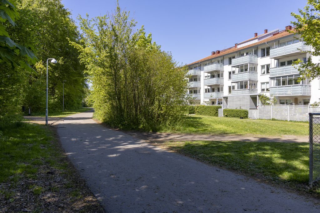 Förening
