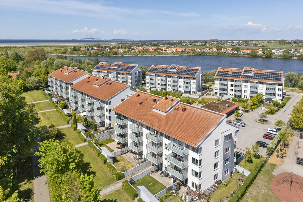 Förening