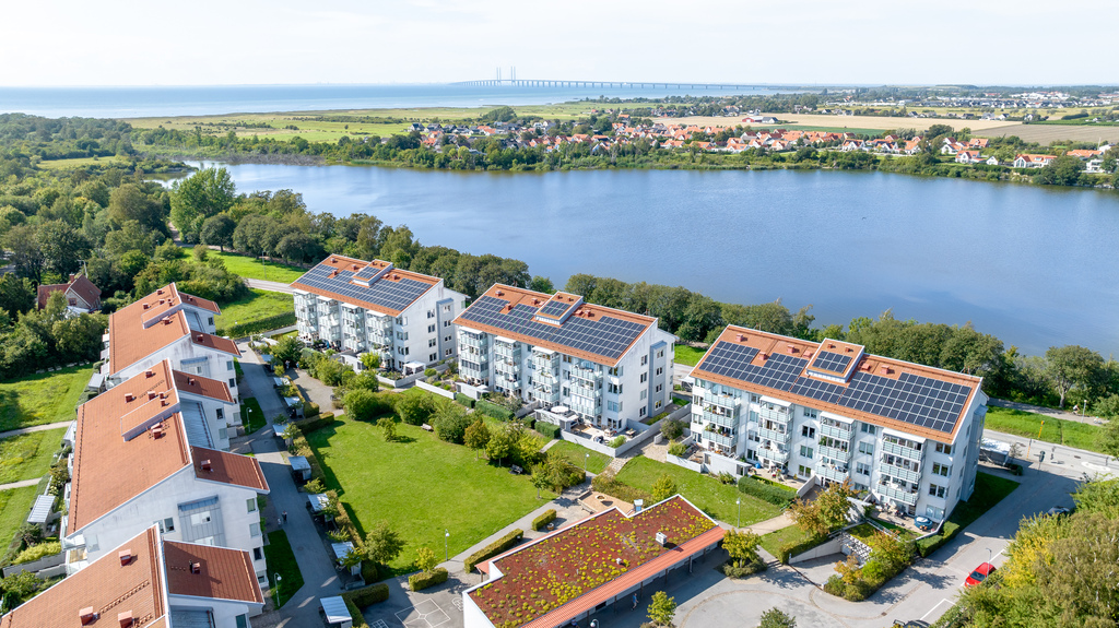 Förening