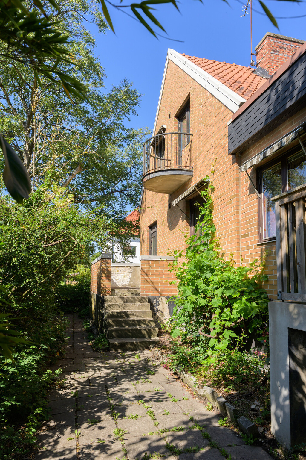 Trädgård