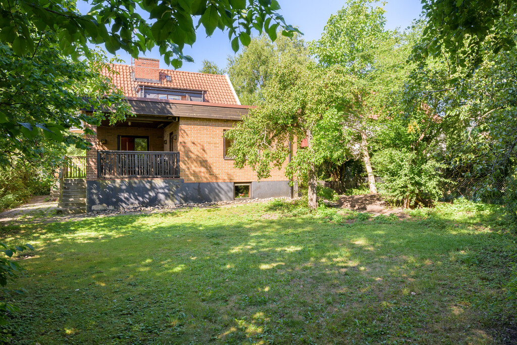 Trädgård
