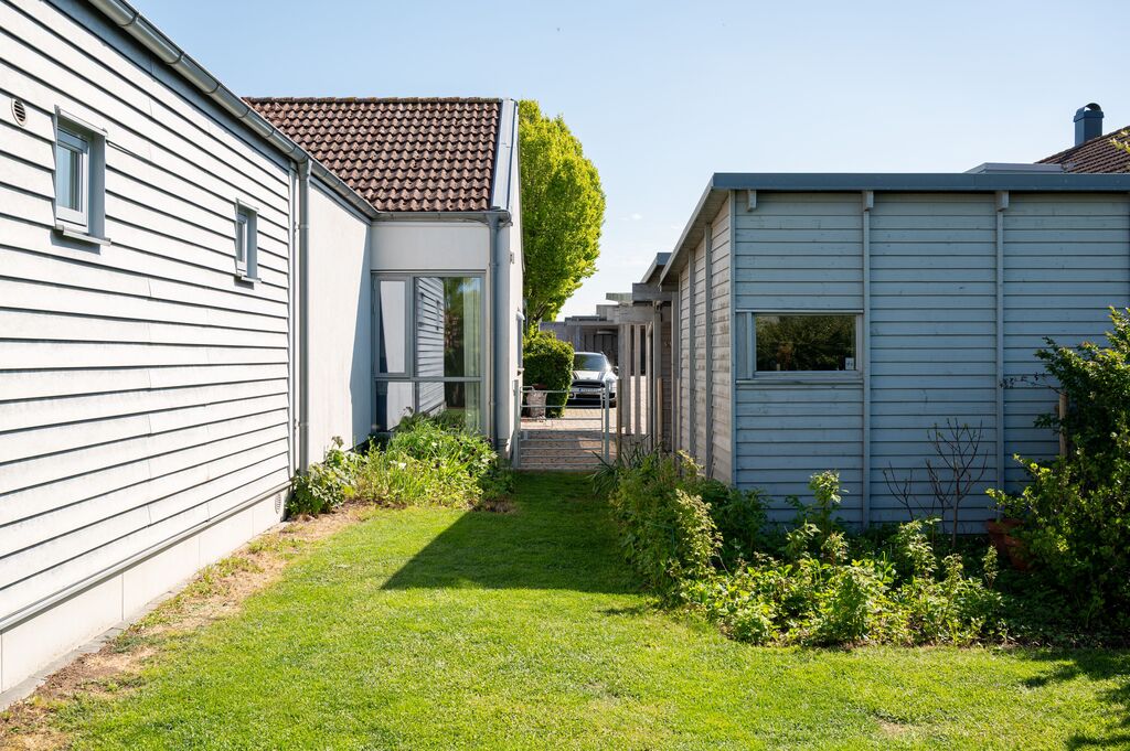 Trädgård