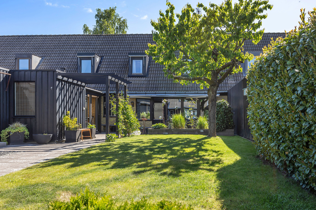 Trädgård