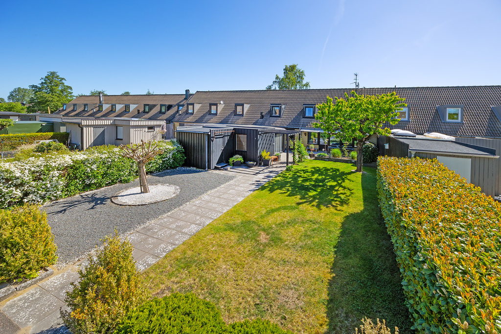 Trädgård